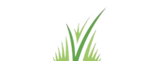 Carver Brothers Turf